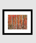 Birch Forest In Autumn